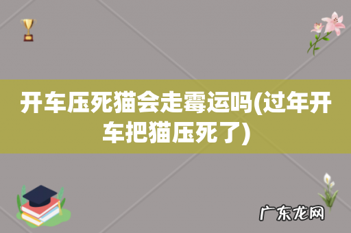 过年开车把猫压死了 开车压死猫会走霉运吗