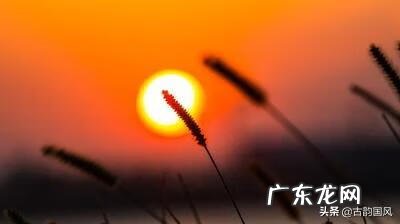 形容一个很有学问的成语