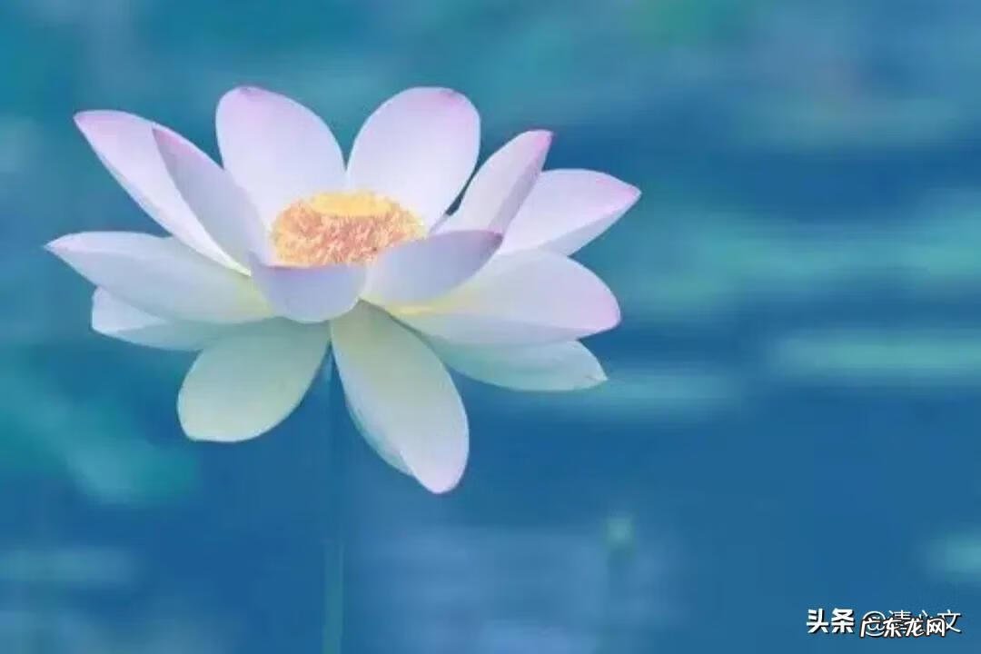 化妆最全的步骤 化妆的基本步骤图解