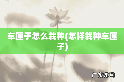 怎样栽种车厘子 车厘子怎么栽种