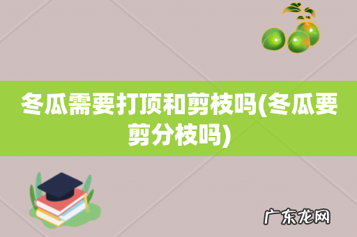 冬瓜要剪分枝吗 冬瓜需要打顶和剪枝吗