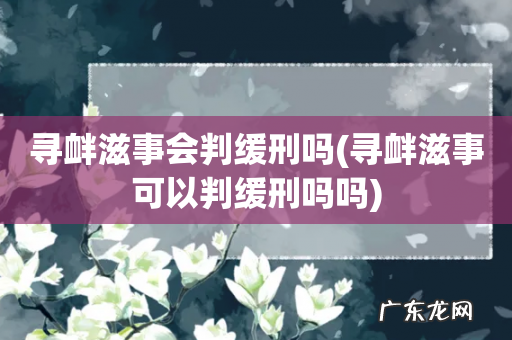 寻衅滋事可以判缓刑吗吗 寻衅滋事会判缓刑吗