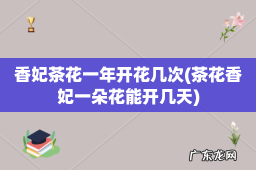 茶花香妃一朵花能开几天 香妃茶花一年开花几次