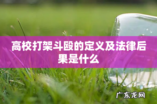 高校打架斗殴的定义及法律后果是什么