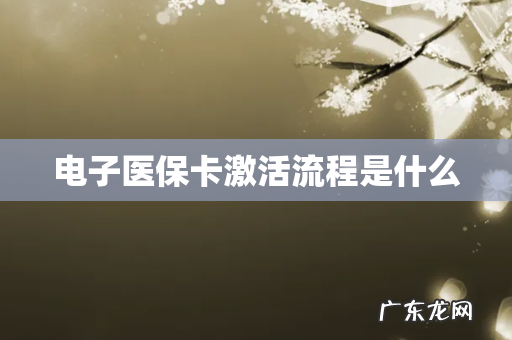 电子医保卡激活流程是什么