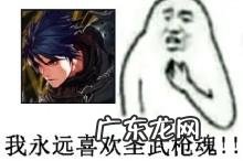 决战者是什么职业