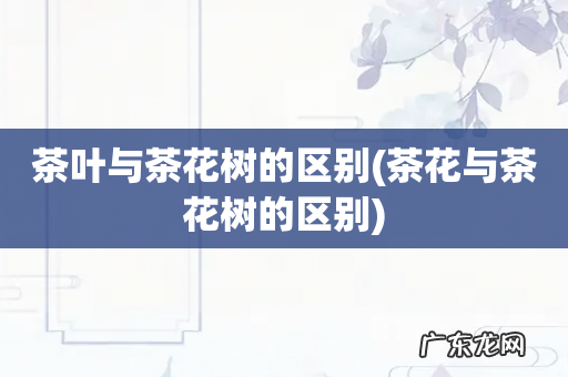 茶花与茶花树的区别 茶叶与茶花树的区别