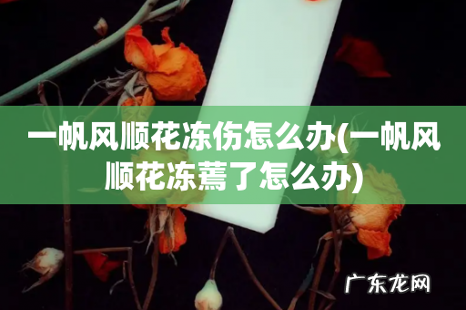 一帆风顺花冻蔫了怎么办 一帆风顺花冻伤怎么办