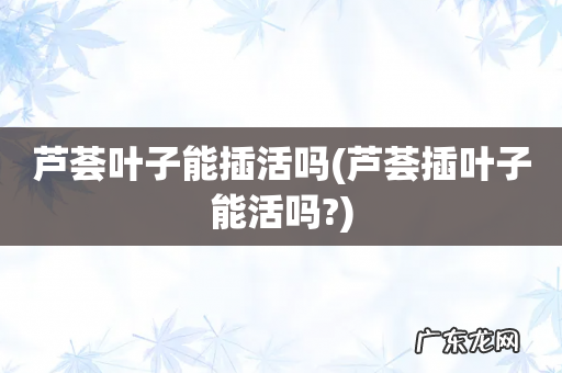 芦荟插叶子能活吗? 芦荟叶子能插活吗