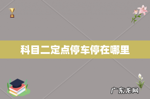 科目二定点停车停在哪里