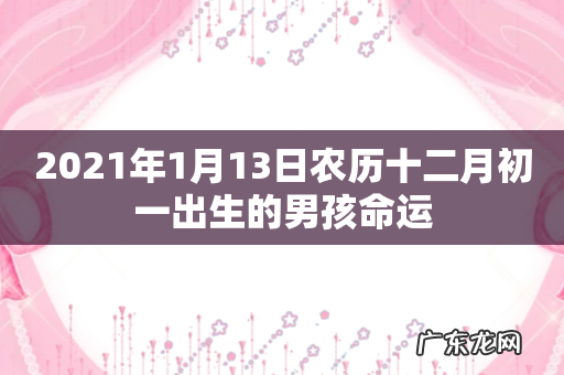 2021年1月13日农历十二月初一出生的男孩命运