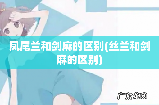 丝兰和剑麻的区别 凤尾兰和剑麻的区别