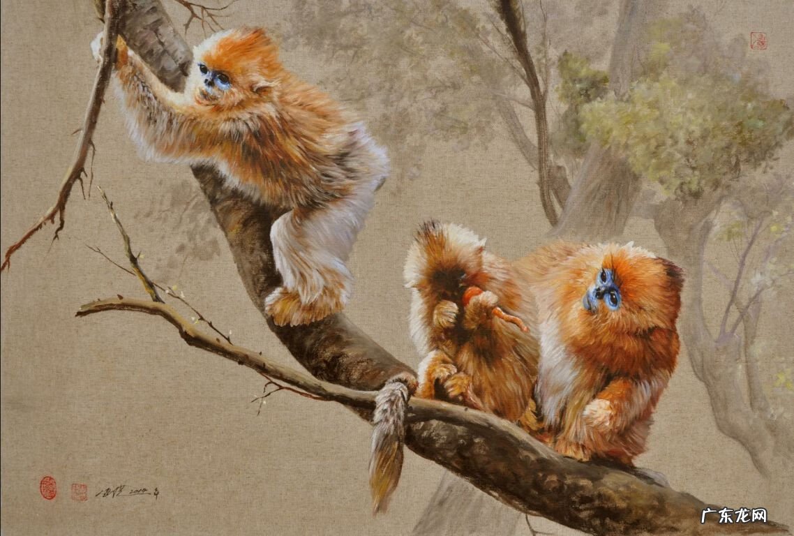 属猴住多少层比较好 属猴住几层楼风水最好