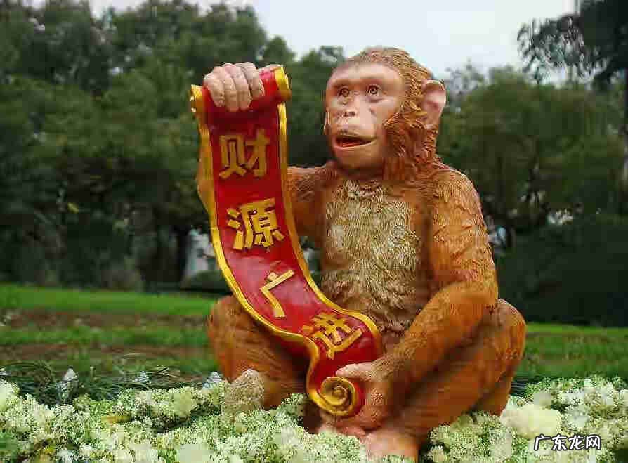 属猴住多少层比较好 属猴住几层楼风水最好