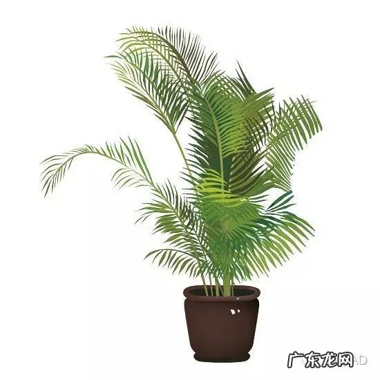 风水关于门的数量 风水中的门的讲究