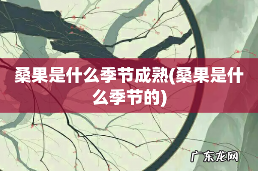 桑果是什么季节的 桑果是什么季节成熟