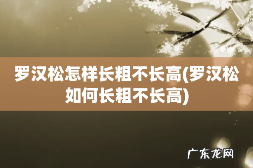 罗汉松如何长粗不长高 罗汉松怎样长粗不长高