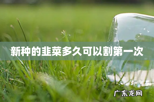 新种的韭菜多久可以割第一次