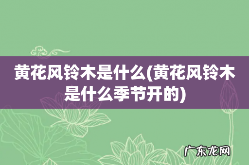 黄花风铃木是什么季节开的 黄花风铃木是什么