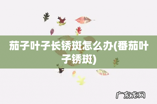 番茄叶子锈斑 茄子叶子长锈斑怎么办