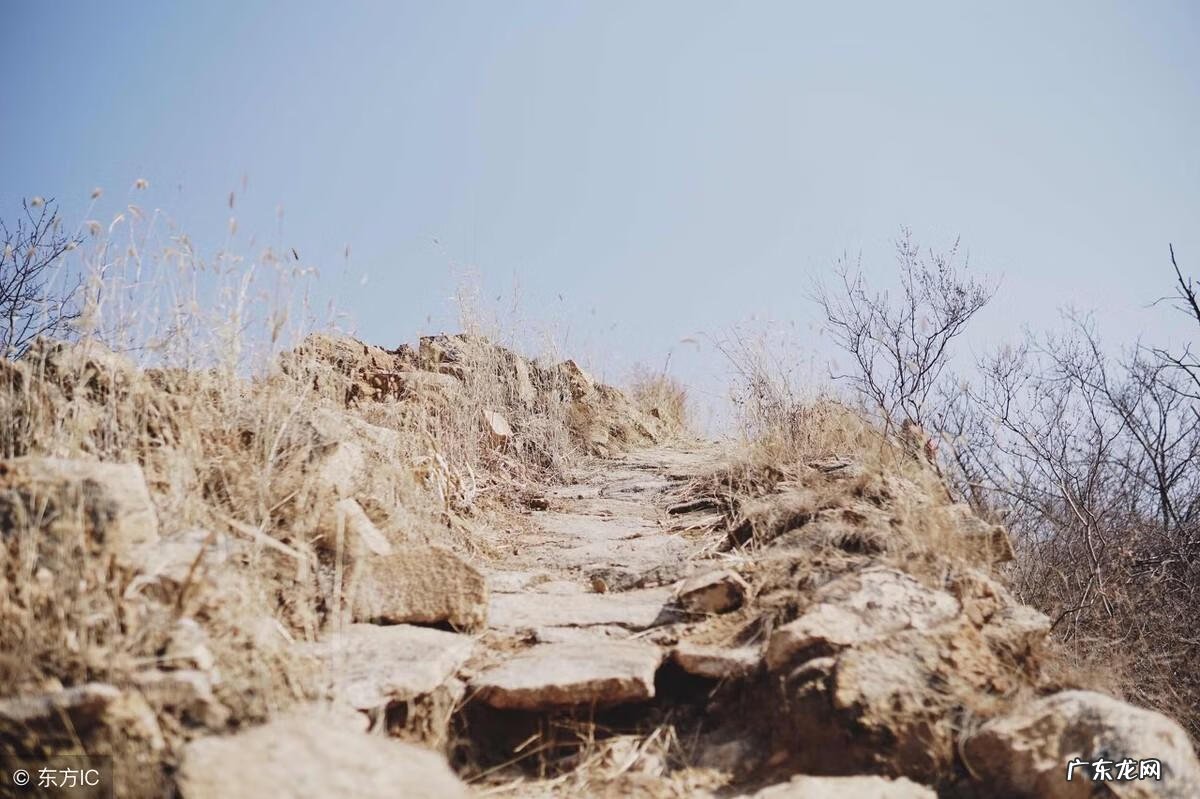 三国萌将传 召唤三国萌将完整版