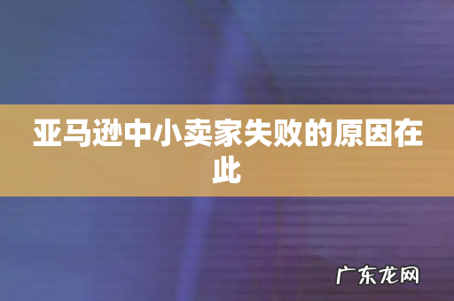 亚马逊中小卖家失败的原因在此