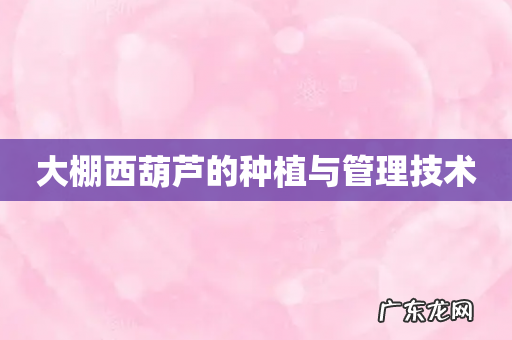 大棚西葫芦的种植与管理技术