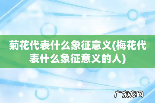 梅花代表什么象征意义的人 菊花代表什么象征意义