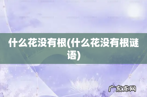 什么花没有根谜语 什么花没有根