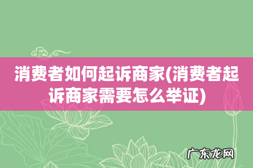 消费者起诉商家需要怎么举证 消费者如何起诉商家