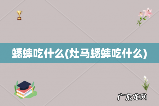 灶马蟋蟀吃什么 蟋蟀吃什么