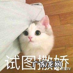 朱煜明 解说 朱煜明