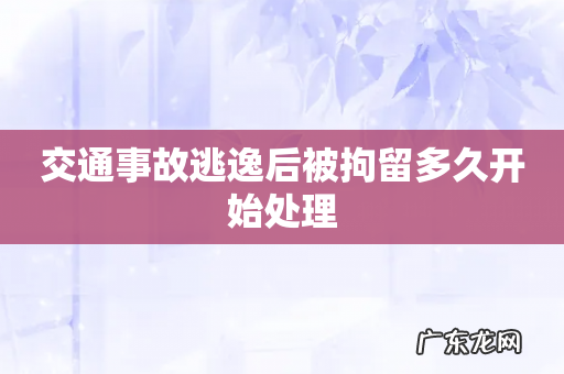 交通事故逃逸后被拘留多久开始处理