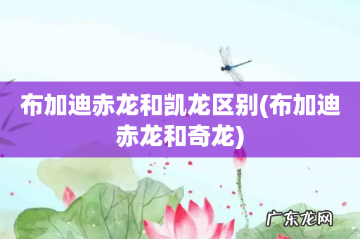 布加迪赤龙和奇龙 布加迪赤龙和凯龙区别