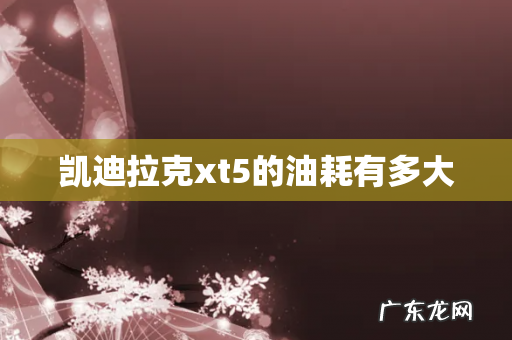 凯迪拉克xt5的油耗有多大