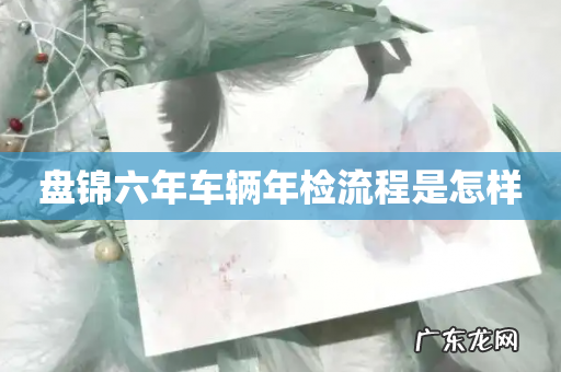 盘锦六年车辆年检流程是怎样