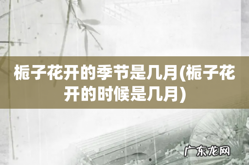 栀子花开的时候是几月 栀子花开的季节是几月