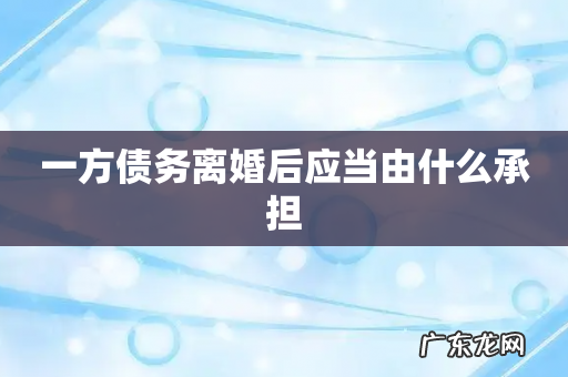 一方债务离婚后应当由什么承担