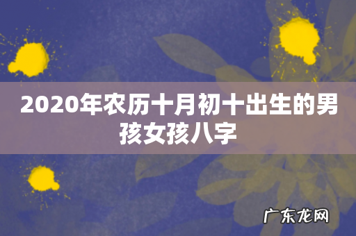 2020年农历十月初十出生的男孩女孩八字