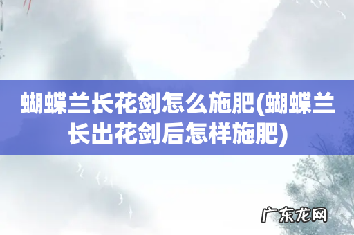 蝴蝶兰长出花剑后怎样施肥 蝴蝶兰长花剑怎么施肥
