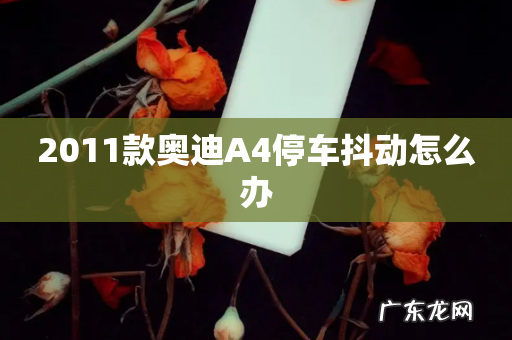 2011款奥迪A4停车抖动怎么办