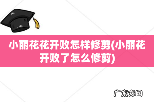 小丽花开败了怎么修剪 小丽花花开败怎样修剪