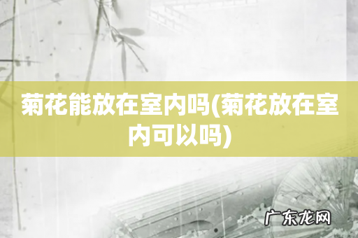 菊花放在室内可以吗 菊花能放在室内吗