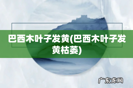 巴西木叶子发黄枯萎 巴西木叶子发黄