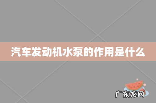 汽车发动机水泵的作用是什么