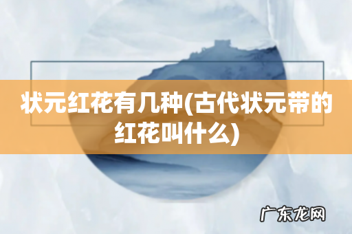 古代状元带的红花叫什么 状元红花有几种