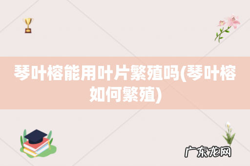 琴叶榕如何繁殖 琴叶榕能用叶片繁殖吗