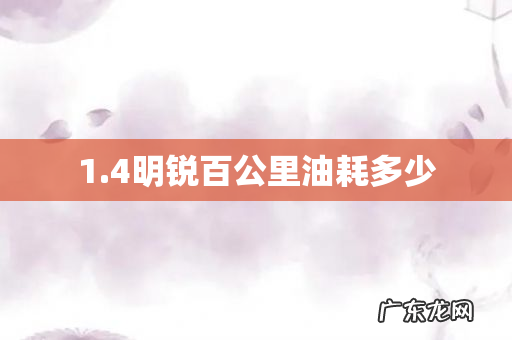 1.4明锐百公里油耗多少