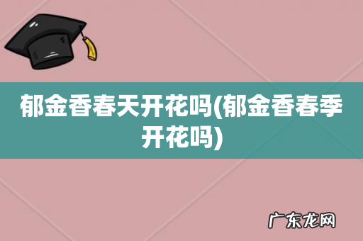 郁金香春季开花吗 郁金香春天开花吗