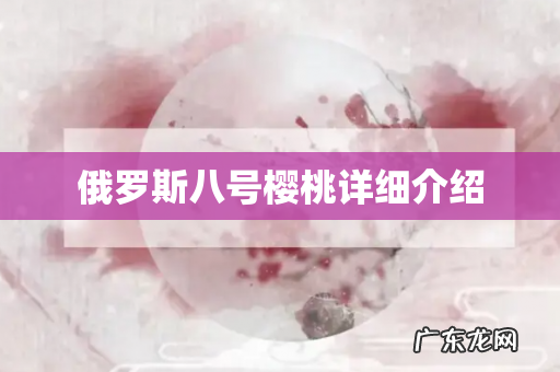 俄罗斯八号樱桃详细介绍